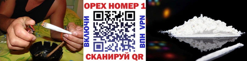 купить наркоту  Судогда  Cocaine VHQ 