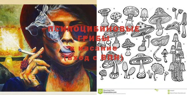 apvp Абинск