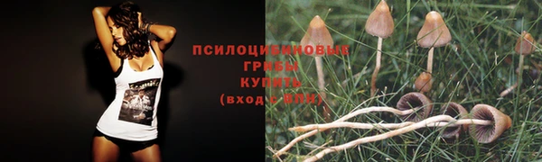 apvp Абинск